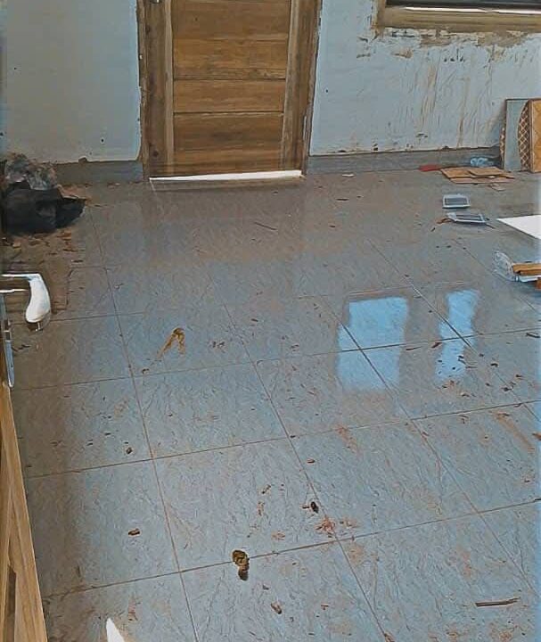 FB_IMG_1771077367242