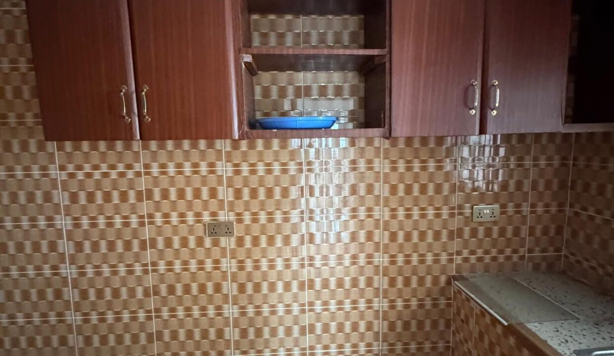 FB_IMG_1771079799912