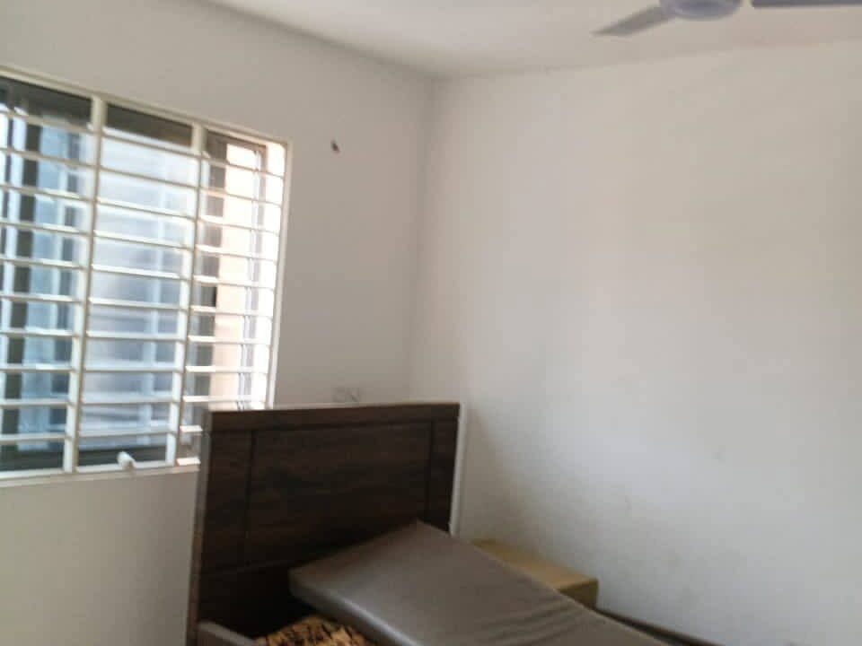 FB_IMG_1771086529539