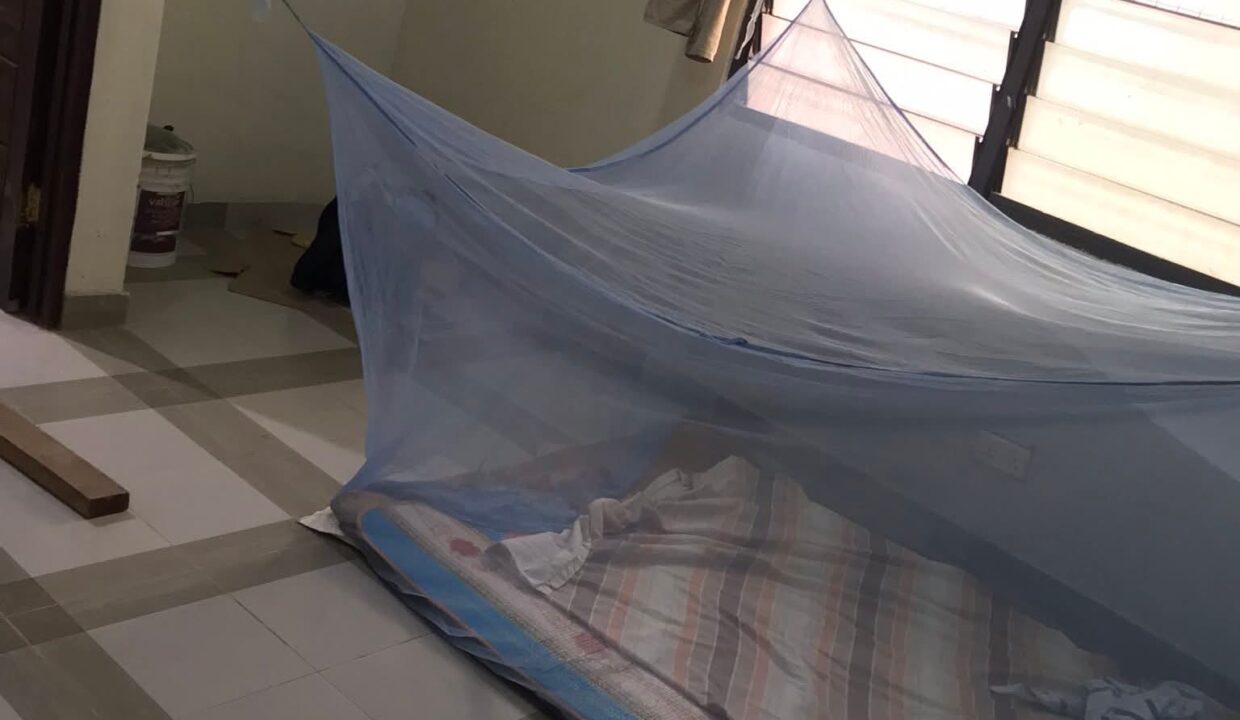 FB_IMG_1771523959660