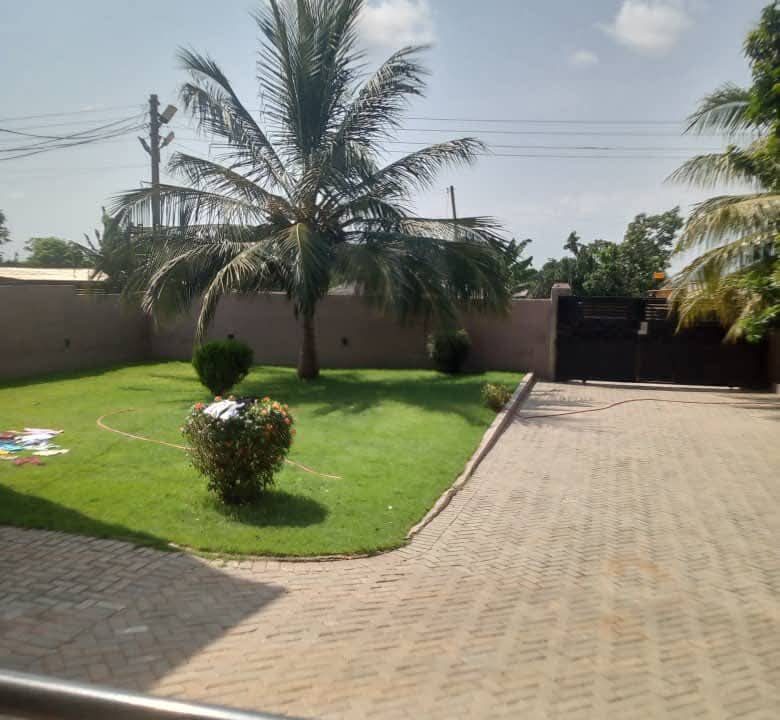 FB_IMG_1771761922902