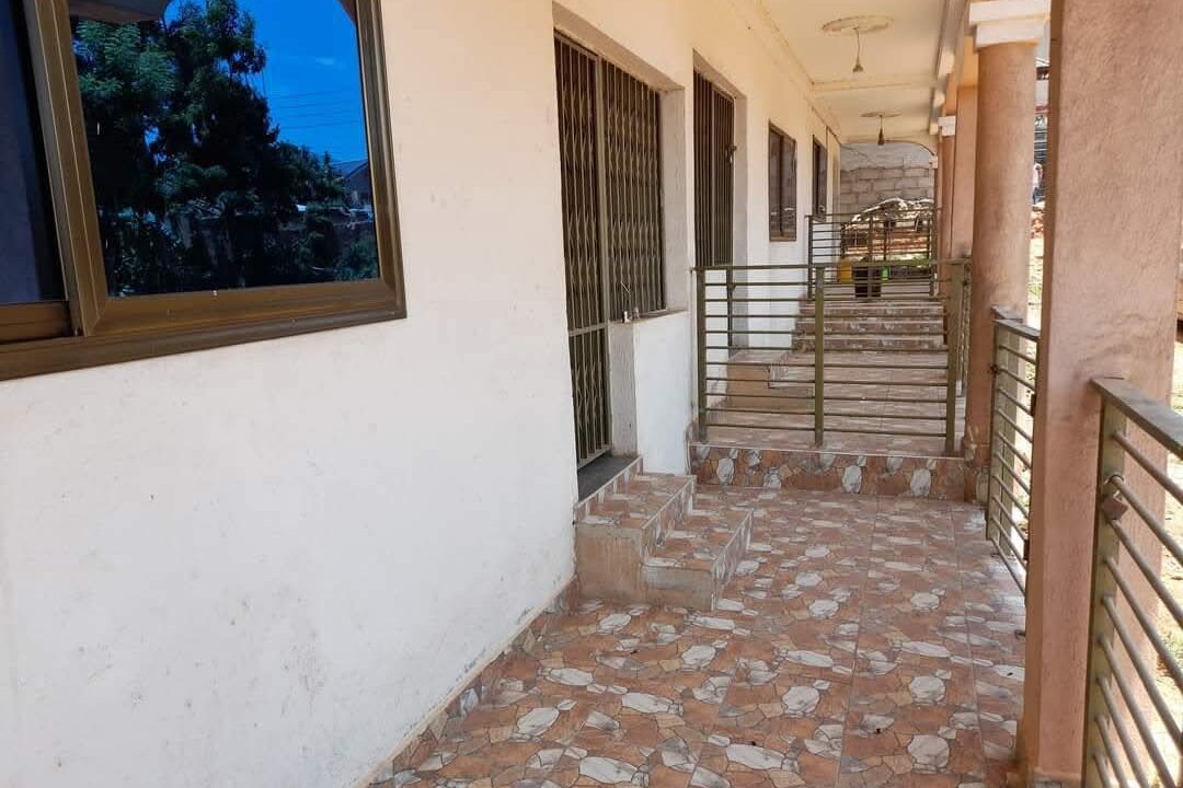 FB_IMG_1774690054263